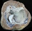 Crystal Filled Dugway Geode (Polished Half) #33142-1